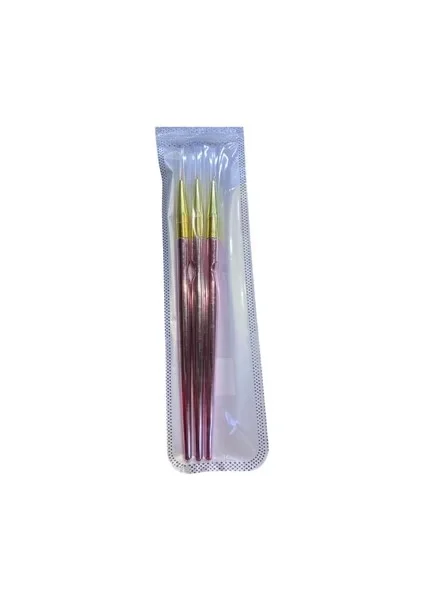 Point Professional Nail Art Tırnak Kalemi Seti – 3lü Pembe